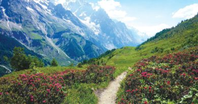 MountBlanc