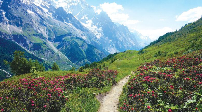 MountBlanc