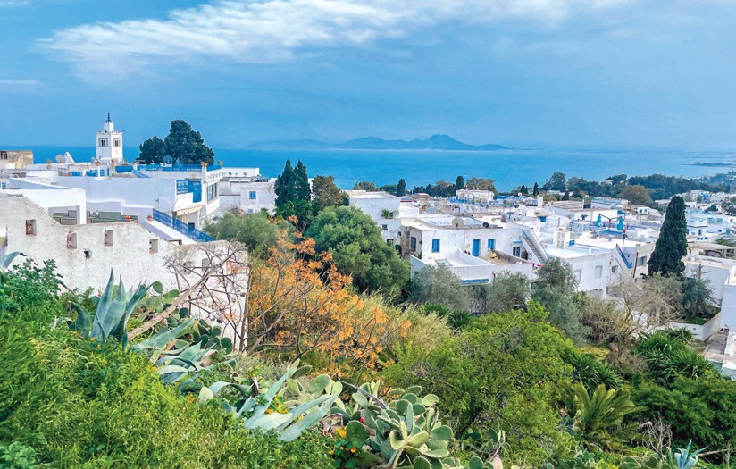 W magicznym Tunisie