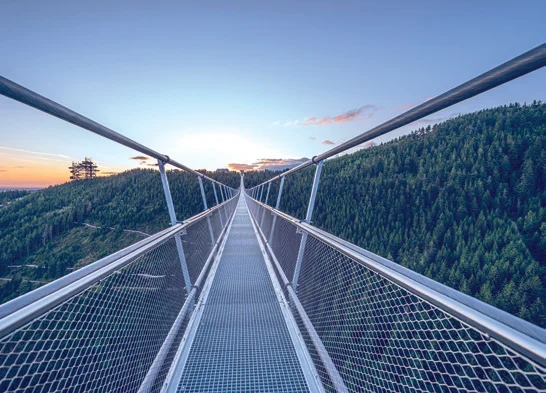 Sky bridge5